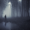Even When the lights are dim - poem by Shaun Phillips