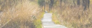 When two travel together - savedlikeme