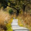 When two travel together - savedlikeme